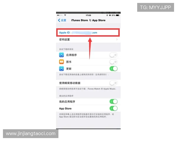 苹果设备用户壹号国际app官方下载遇到的问题及应对措施
